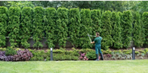 gardening company