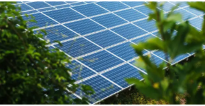 solar panels