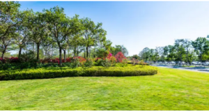 low maintenance garden designer