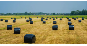premium silage film