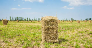 baler twine supplier