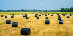weather-resistant bale wrap