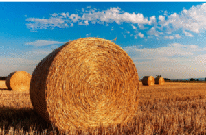 flexible net replacement film